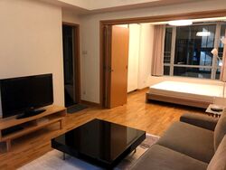 Park Infinia At Wee Nam (D11), Condominium #476521291